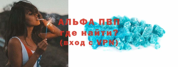 дживик Данков