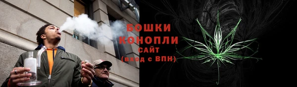 ГАЛЛЮЦИНОГЕННЫЕ ГРИБЫ Протвино