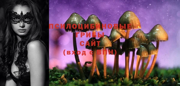 ГАЛЛЮЦИНОГЕННЫЕ ГРИБЫ Протвино